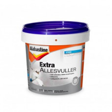 ALABASTINE EXTRA ALLESVULLER STEEN 300ML ALABASTINE EXTRA ALLESVULLER STEEN 300ML