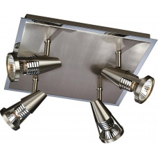 PLAFONDPLAAT TERRA 4 LICHTS STAAL 56114-17-10