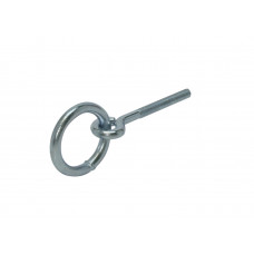 PUTRING INW.50MM M10X70MM VERZINKT PUTRING INW.50MM M10X70MM VERZINKT