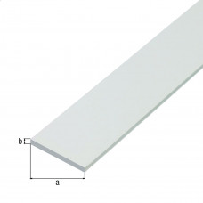 PVC PLAT STRIP WIT 30X3MM 2MTR