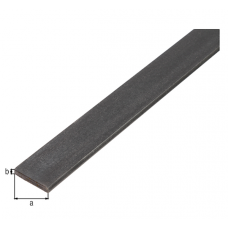 PLAT IJZER 40X6MM 2MTR PLAT IJZER 40X6MM 2MTR