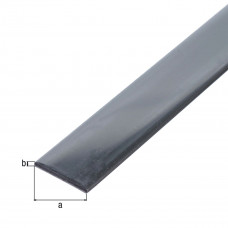 PLAT RVS 25X2MM 2MTR PLAT RVS 25X2MM 2MTR