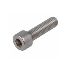 RVS BINNENZESKANTBOUT CILINDERKOP A2 IB5 M6 X 25MM