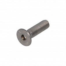 RVS BINNENZESKANTBOUT PLATVERZINKT A2 IB5 M8 X 25MM