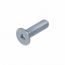 BINNENZESKANTBOUT VZ 8.8 PLATVERZINKT IB2,5 M4X20
