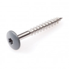 TRESPASCHROEVEN 4,8X25MM RVS RAL 7012 BAZALTGRIJS TX-20 TRESPASCHROEVEN 4,8X25MM RVS RAL 7012 BAZALTGRIJS TX-20