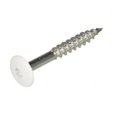 TRESPASCHROEVEN RVS A2 RAL 9010 WIT TX-20 4,8X38MM TRESPASCHROEVEN RVS A2 RAL 9010 WIT TX-20 4,8X38MM