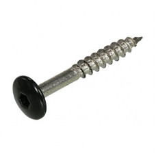 TRESPASCHROEVEN RVS A2 RAL 9005 ZWART TX-20 4,8X25MM TRESPASCHROEVEN RVS A2 RAL 9005 ZWART TX-20 4,8X25MM