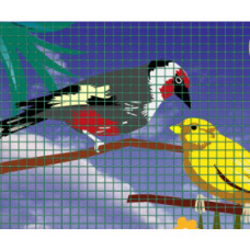 GIARDINO VOLIEREGAAS GROEN 50CMX10MTR 12,7X12,7X0,9MM GIARDINO VOLIEREGAAS GROEN 50CMX10MTR 12,7X12,7X0,9MM