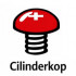 Cilinderkop
