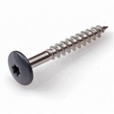 TRESPASCHROEVEN 4,8X32MM RVS RAL 7016 ANTRACIET TX-20 TRESPASCHROEVEN 4,8X32MM RVS RAL 7016 ANTRACIET TX-20